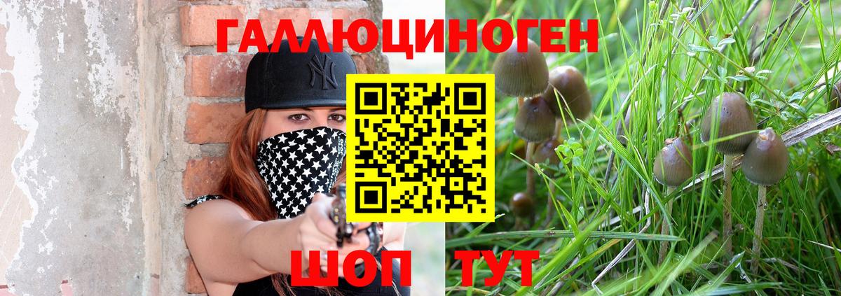 Галлюциногенные грибы MAGIC MUSHROOMS Кандалакша