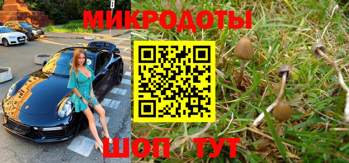 Кандалакша  Галлюциногенные грибы MAGIC MUSHROOMS  магазин  наркотиков  Вход с VPN 